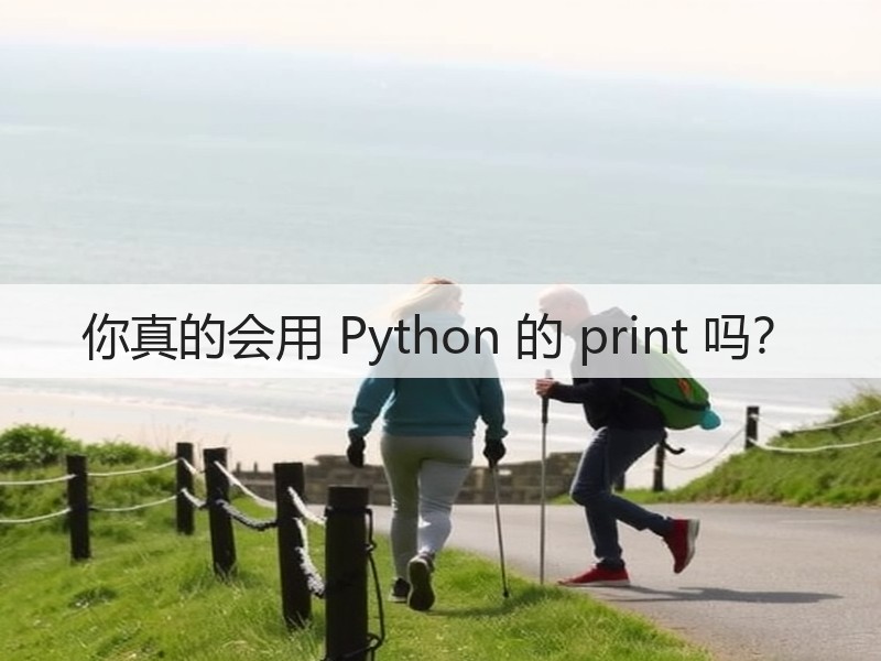 你真的会用 Python 的 print 吗?(图2) 你真的会用 Python 的 print 吗?(图2)