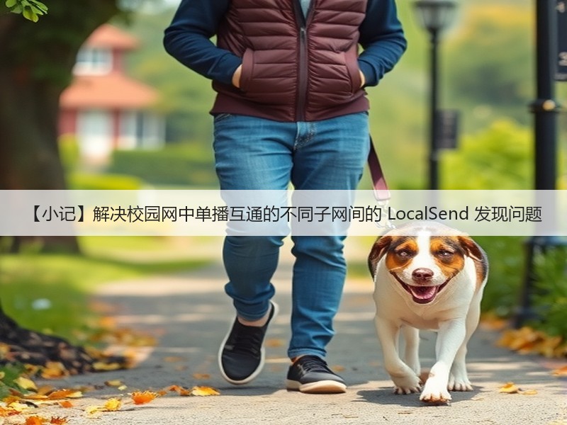 【小记】解决校园网中单播互通的不同子网间的 LocalSend 发现问题(图2) 【小记】解决校园网中单播互通的不同子网间的 LocalSend 发现问题(图2)