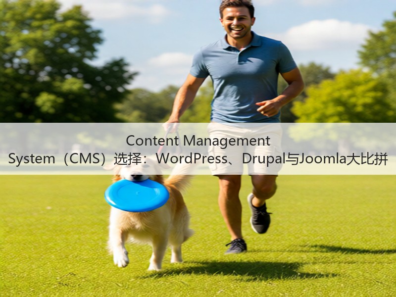 Content Management System（CMS）选择：WordPress、Drupal与Joomla大比拼(图2)