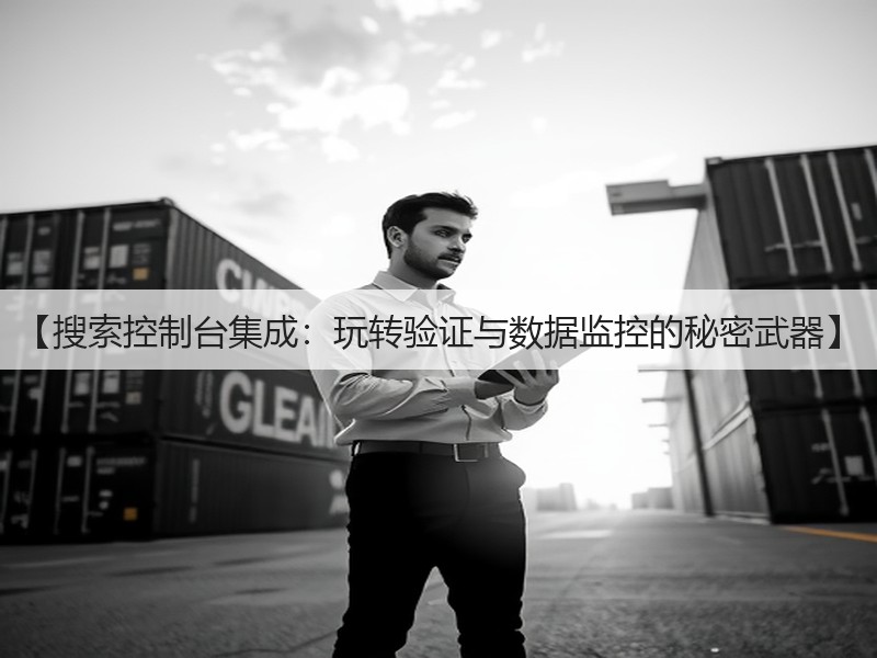 【搜索控制台集成:玩转验证与数据监控的秘密武器】(图3) 【搜索控制台集成:玩转验证与数据监控的秘密武器】(图3)