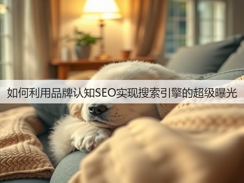 如何利用品牌认知SEO实现搜索引擎的超级曝光(图3)