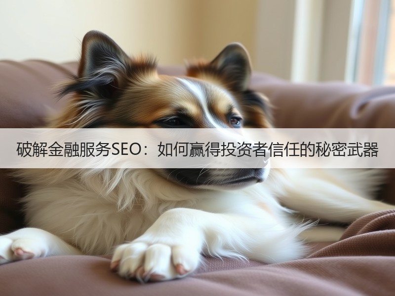 破解金融服务SEO：如何赢得投资者信任的秘密武器