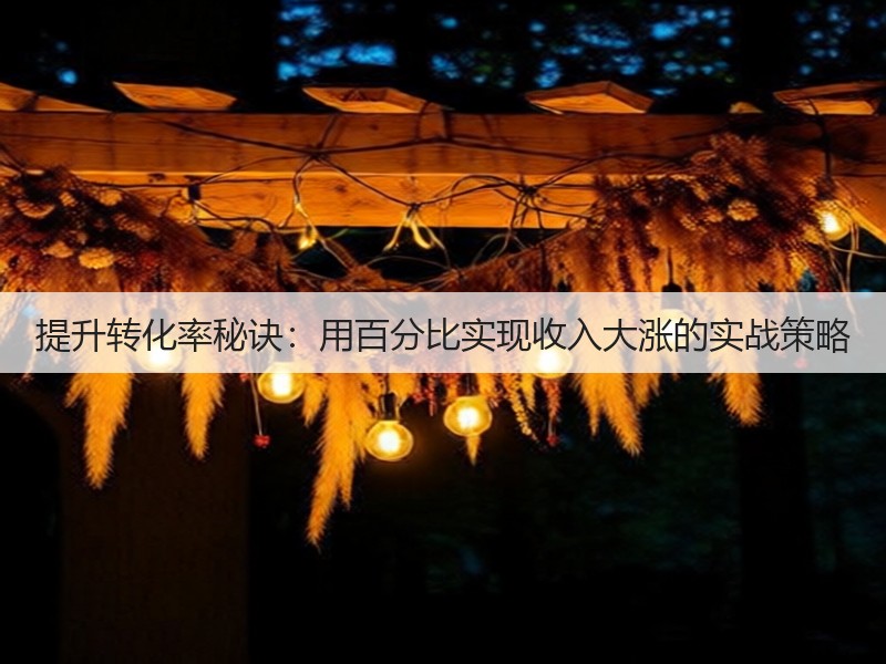 提升转化率秘诀：用百分比实现收入大涨的实战策略(图3)