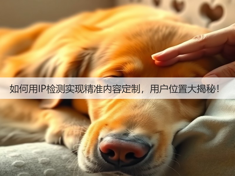 如何用IP检测实现精准内容定制，用户位置大揭秘！(图2)