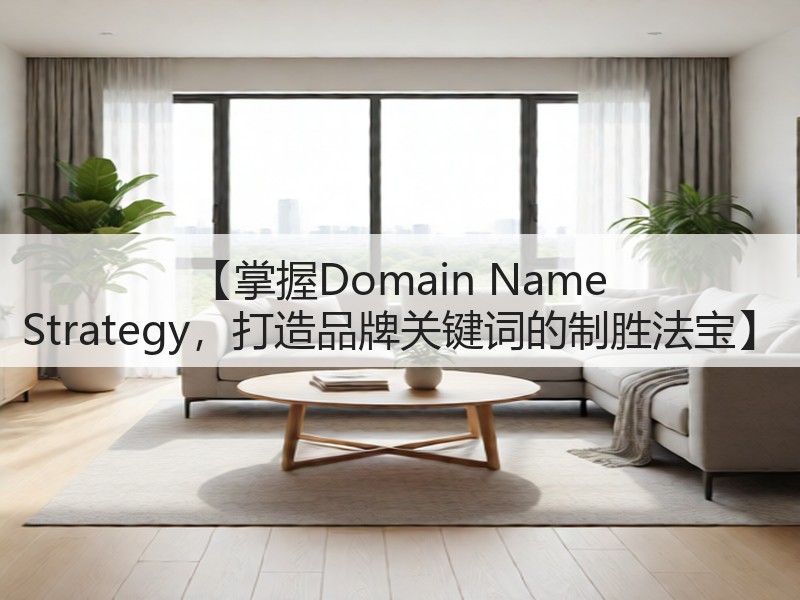 【掌握Domain Name Strategy,打造品牌关键词的制胜法宝】(图2) 【掌握Domain Name Strategy,打造品牌关键词的制胜法宝】(图2)