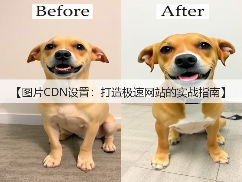 【图片CDN设置:打造极速网站的实战指南】(图3) 【图片CDN设置:打造极速网站的实战指南】(图3)