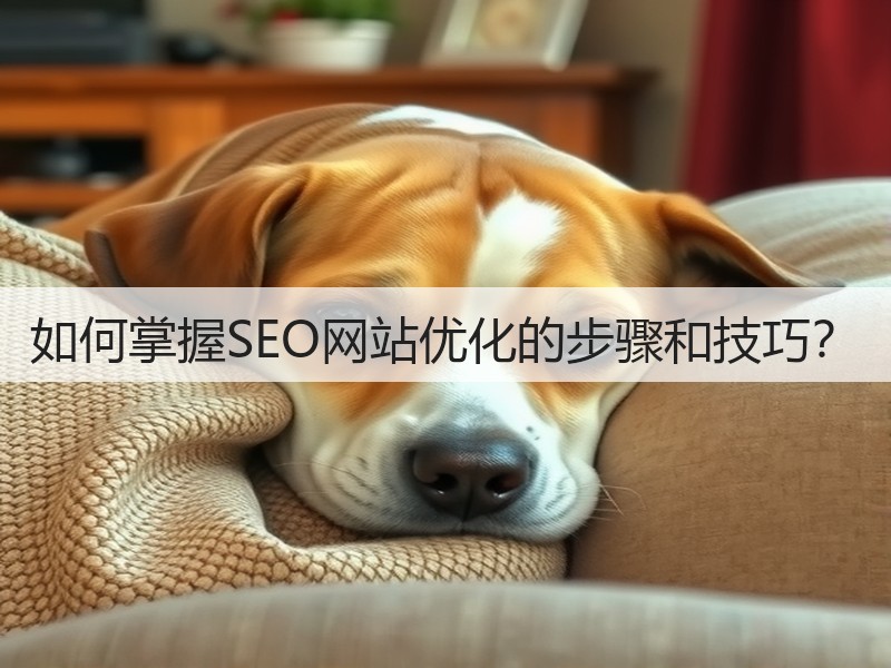 如何掌握SEO网站优化的步骤和技巧?(图3) 如何掌握SEO网站优化的步骤和技巧?(图3)