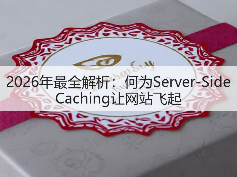 2026年最全解析：何为Server-Side Caching让网站飞起