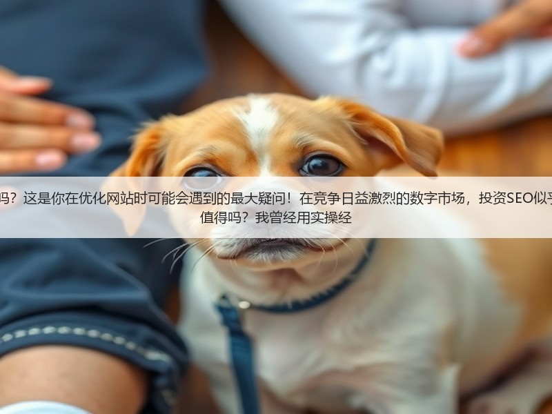 谷歌SEO优化3980一年靠谱吗？这是你在优化网站时可能会遇到的最大疑问！在竞争日益激烈的数字市场，投资SEO似乎成了“豪赌”。但真有那么值得吗？我曾经用实操经(图2)