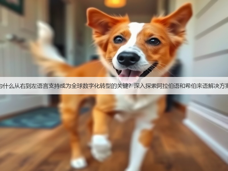 为什么从右到左语言支持成为全球数字化转型的关键?深入探索阿拉伯语和希伯来语解决方案(图3) 为什么从右到左语言支持成为全球数字化转型的关键?深入探索阿拉伯语和希伯来语解决方案(图3)