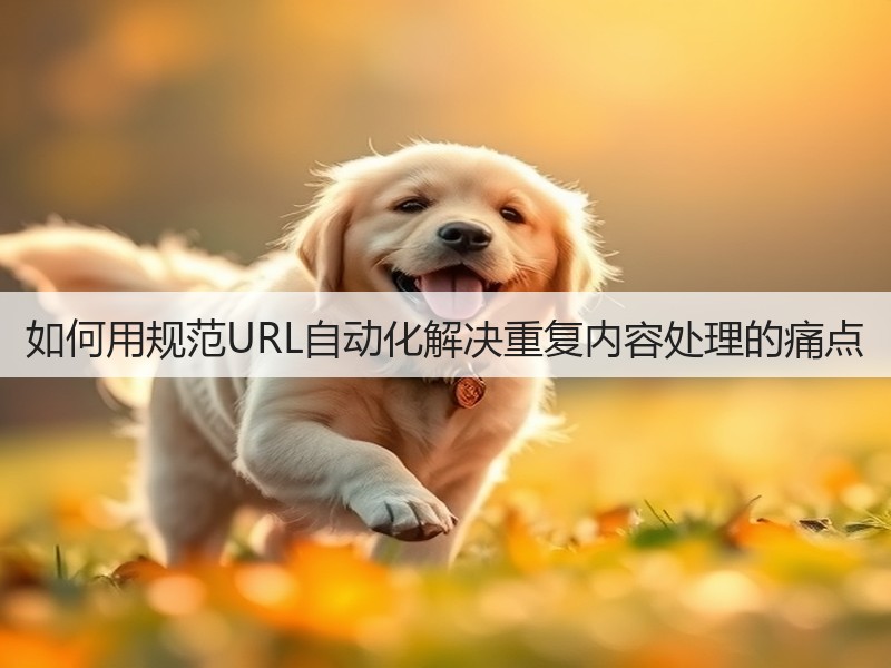 如何用规范URL自动化解决重复内容处理的痛点(图3)