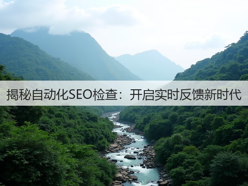 揭秘自动化SEO检查：开启实时反馈新时代(图3)
