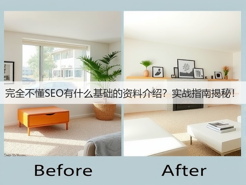 完全不懂SEO有什么基础的资料介绍？实战指南揭秘！(图3)