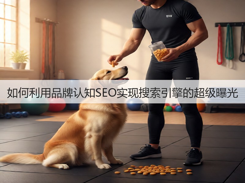如何利用品牌认知SEO实现搜索引擎的超级曝光(图2)