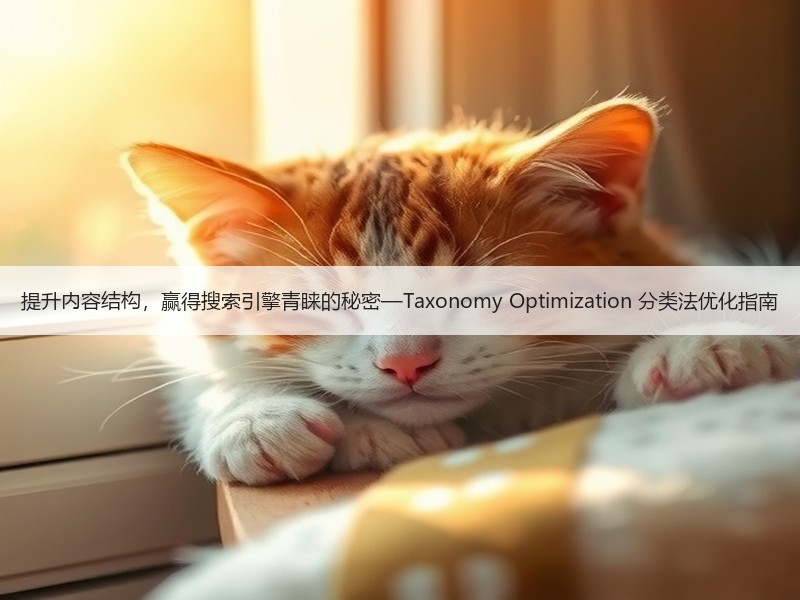 提升内容结构，赢得搜索引擎青睐的秘密—Taxonomy Optimization 分类法优化指南