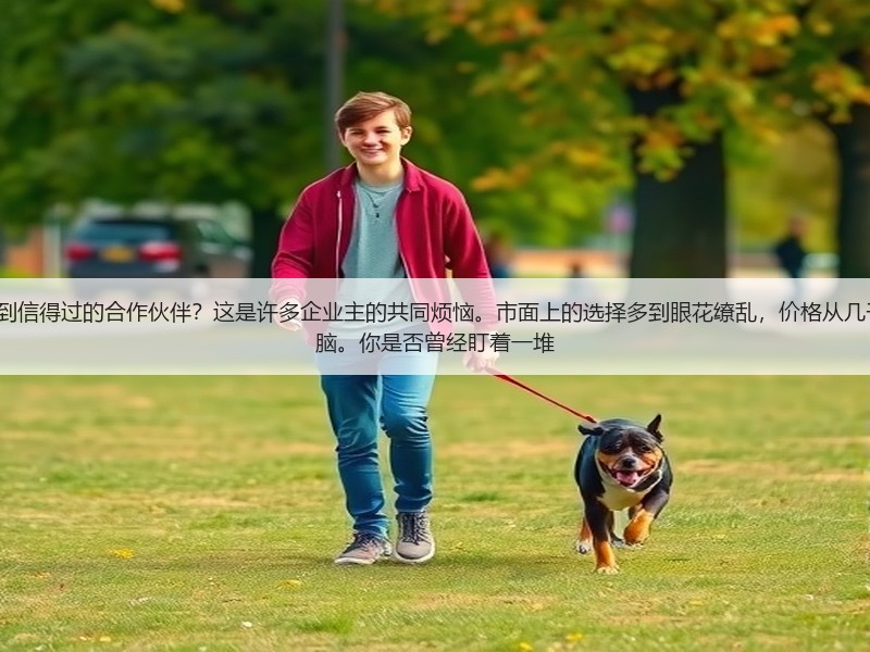如何在海量的seo外包公司中找到信得过的合作伙伴？这是许多企业主的共同烦恼。市面上的选择多到眼花缭乱，价格从几千到几十万不等，让人摸不着头脑。你是否曾经盯着一堆(图3)