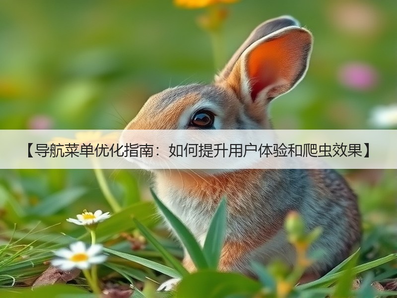 【导航菜单优化指南：如何提升用户体验和爬虫效果】