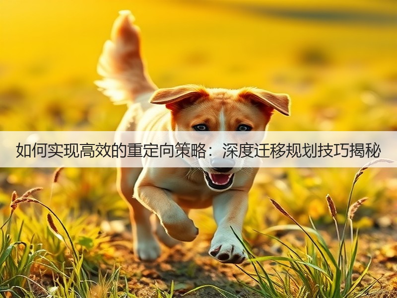 如何实现高效的重定向策略:深度迁移规划技巧揭秘(图3) 如何实现高效的重定向策略:深度迁移规划技巧揭秘(图3)
