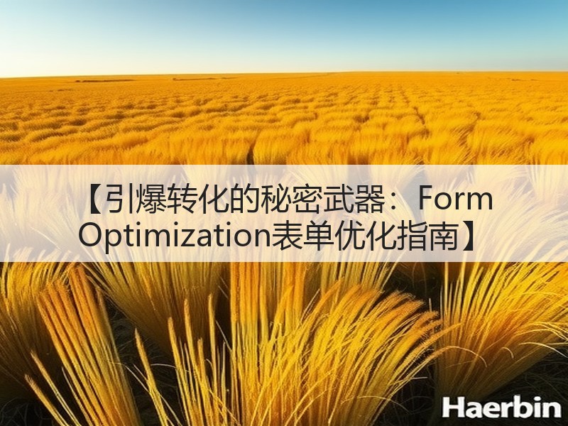 【引爆转化的秘密武器:Form Optimization表单优化指南】(图3) 【引爆转化的秘密武器:Form Optimization表单优化指南】(图3)