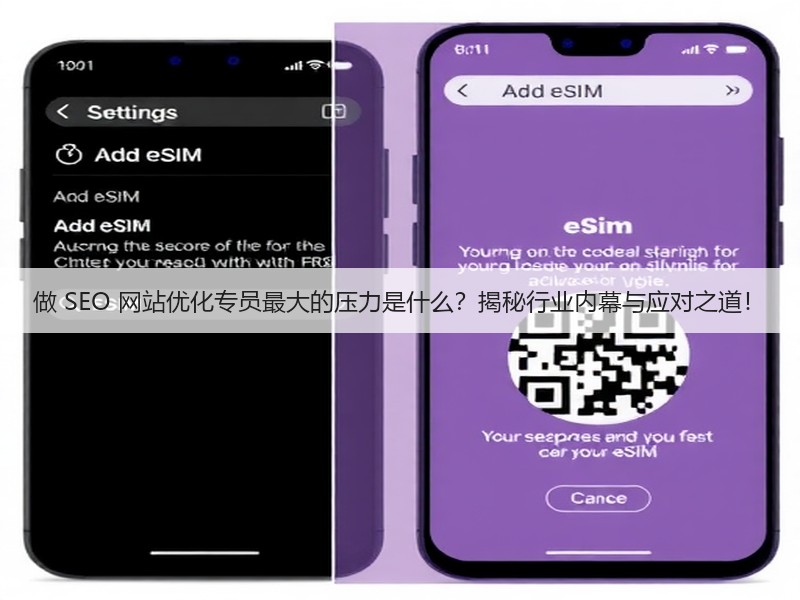 做 SEO 网站优化专员最大的压力是什么？揭秘行业内幕与应对之道！(图2)