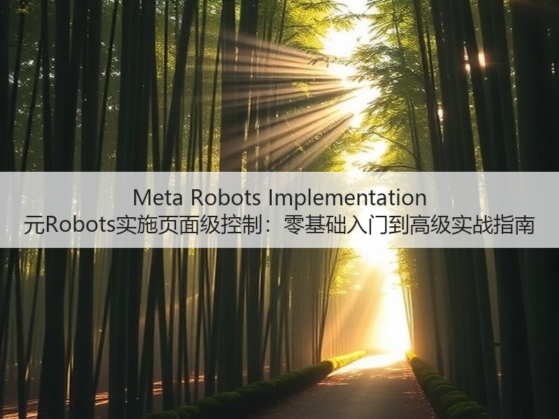 Meta Robots Implementation 元Robots实施页面级控制：零基础入门到高级实战指南(图2)