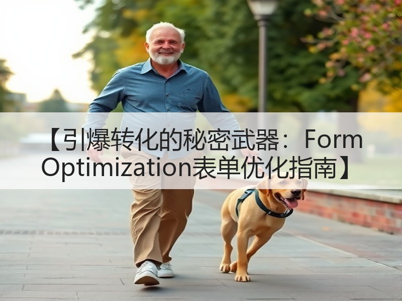 【引爆转化的秘密武器：Form Optimization表单优化指南】