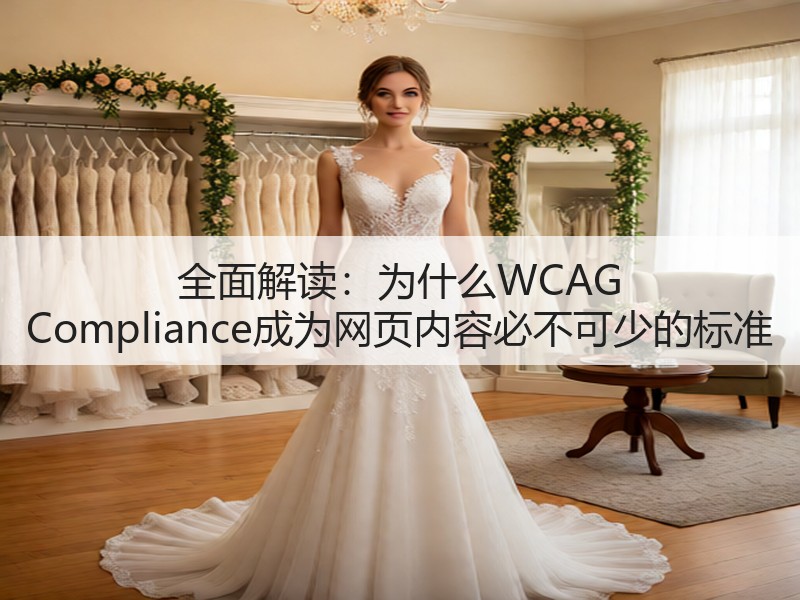 全面解读:为什么WCAG Compliance成为网页内容必不可少的标准(图3) 全面解读:为什么WCAG Compliance成为网页内容必不可少的标准(图3)