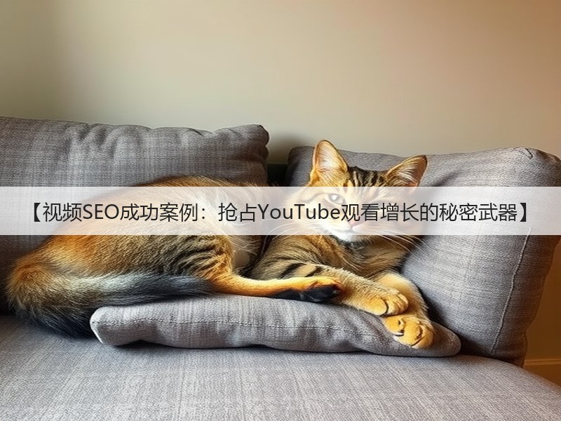 【视频SEO成功案例：抢占YouTube观看增长的秘密武器】(图2)