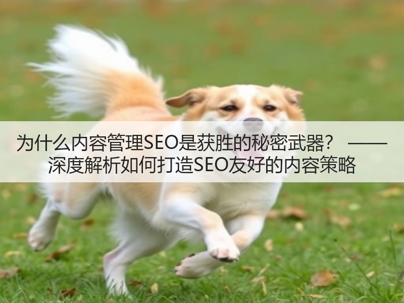 为什么内容管理SEO是获胜的秘密武器？ —— 深度解析如何打造SEO友好的内容策略(图3)