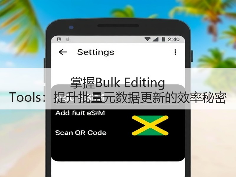 掌握Bulk Editing Tools：提升批量元数据更新的效率秘密