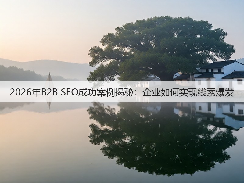 2026年B2B SEO成功案例揭秘：企业如何实现线索爆发(图2)