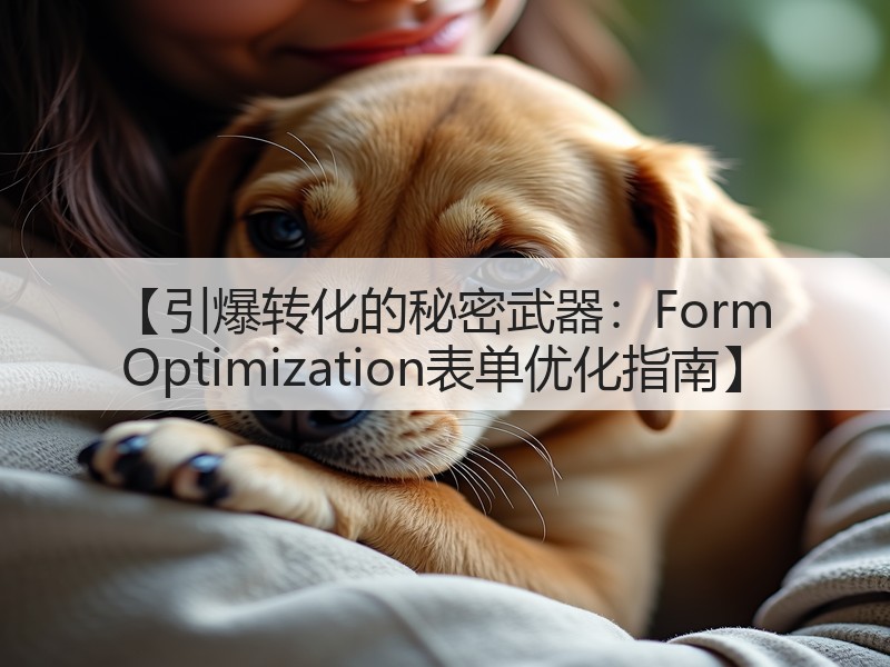 【引爆转化的秘密武器：Form Optimization表单优化指南】(图2)