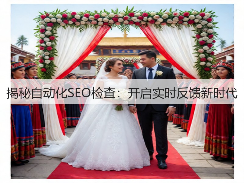 揭秘自动化SEO检查：开启实时反馈新时代(图3)