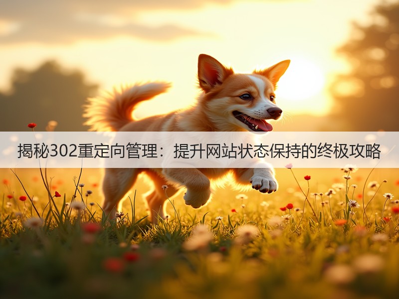 揭秘302重定向管理：提升网站状态保持的终极攻略(图3)