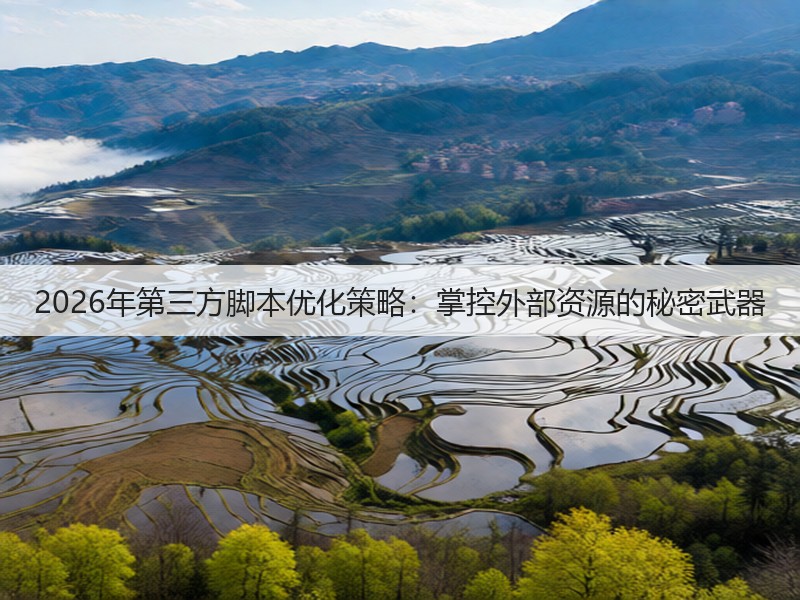 2026年第三方脚本优化策略：掌控外部资源的秘密武器(图3)