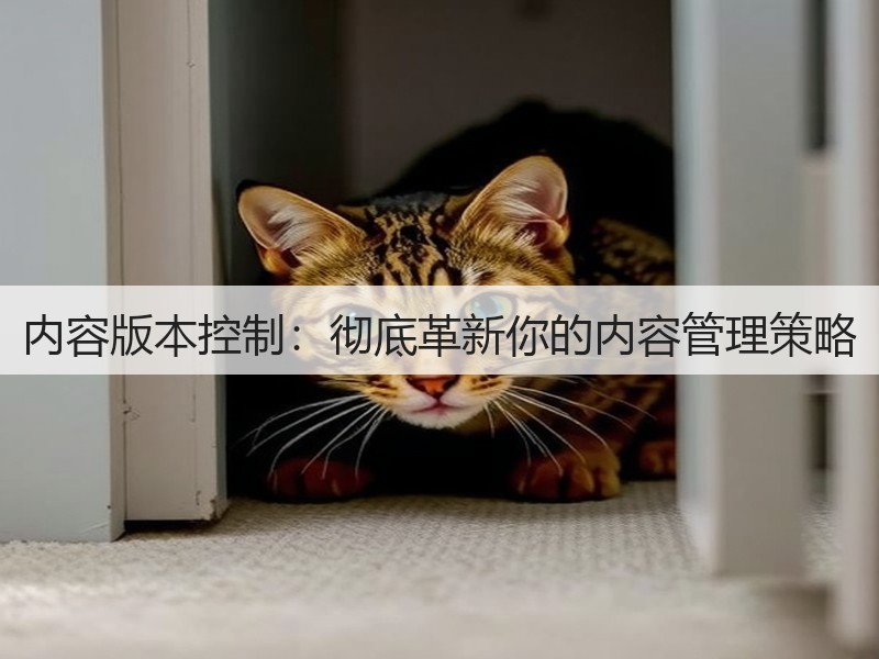 内容版本控制:彻底革新你的内容管理策略(图2) 内容版本控制:彻底革新你的内容管理策略(图2)