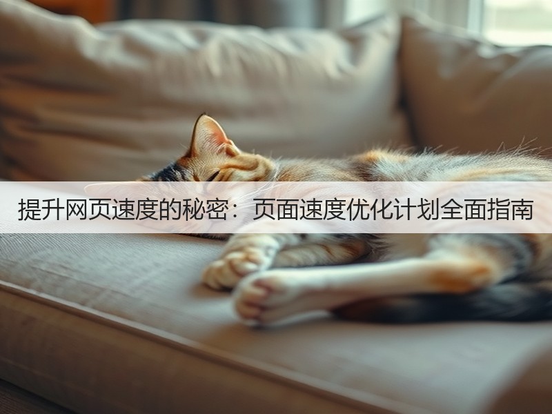 提升网页速度的秘密：页面速度优化计划全面指南(图2)
