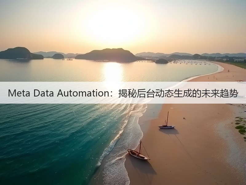 Meta Data Automation:揭秘后台动态生成的未来趋势(图3) Meta Data Automation:揭秘后台动态生成的未来趋势(图3)