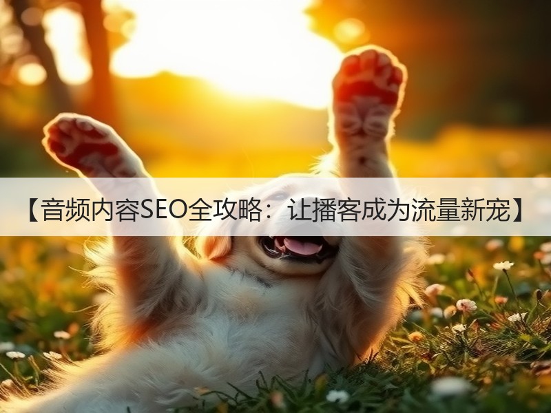 【音频内容SEO全攻略：让播客成为流量新宠】