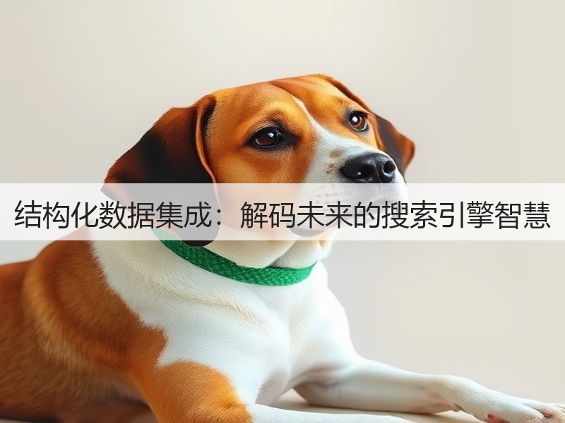 结构化数据集成：解码未来的搜索引擎智慧(图3)