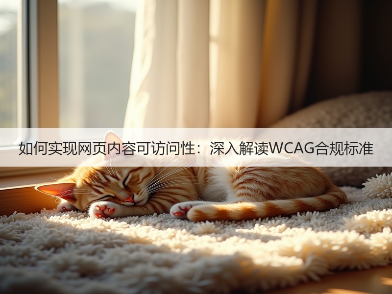 如何实现网页内容可访问性：深入解读WCAG合规标准
