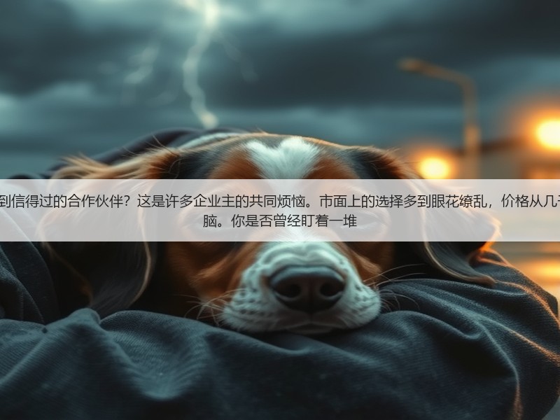 如何在海量的seo外包公司中找到信得过的合作伙伴？这是许多企业主的共同烦恼。市面上的选择多到眼花缭乱，价格从几千到几十万不等，让人摸不着头脑。你是否曾经盯着一堆(图2)