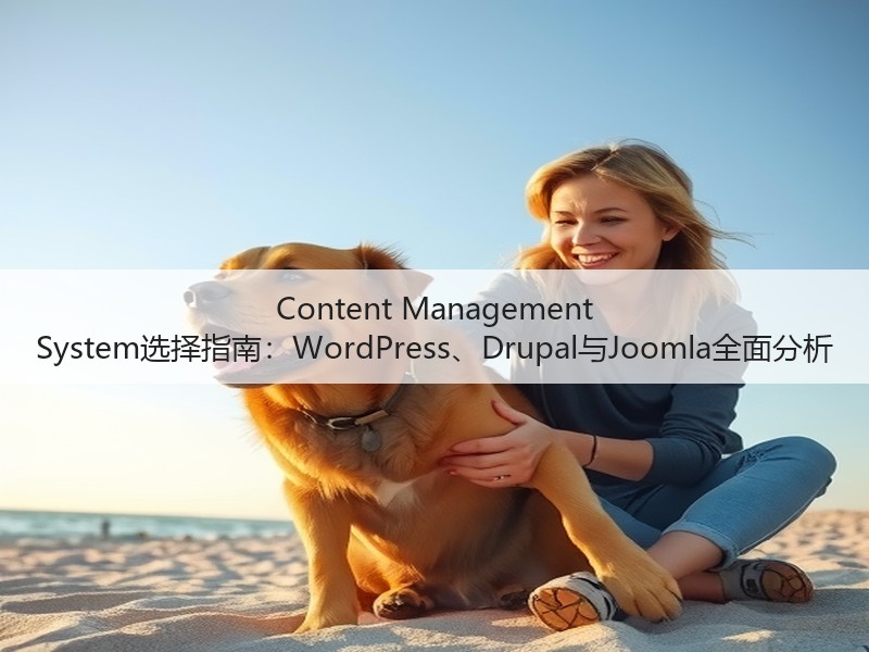 Content Management System选择指南：WordPress、Drupal与Joomla全面分析(图3)