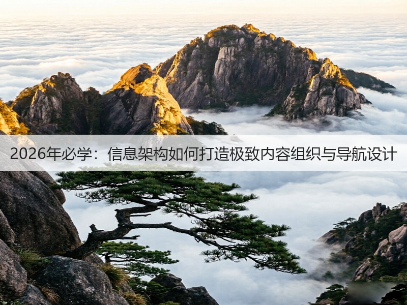 2026年必学：信息架构如何打造极致内容组织与导航设计(图2)