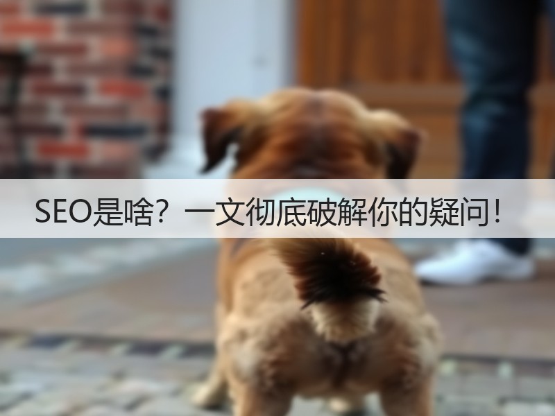 SEO是啥？一文彻底破解你的疑问！(图2)