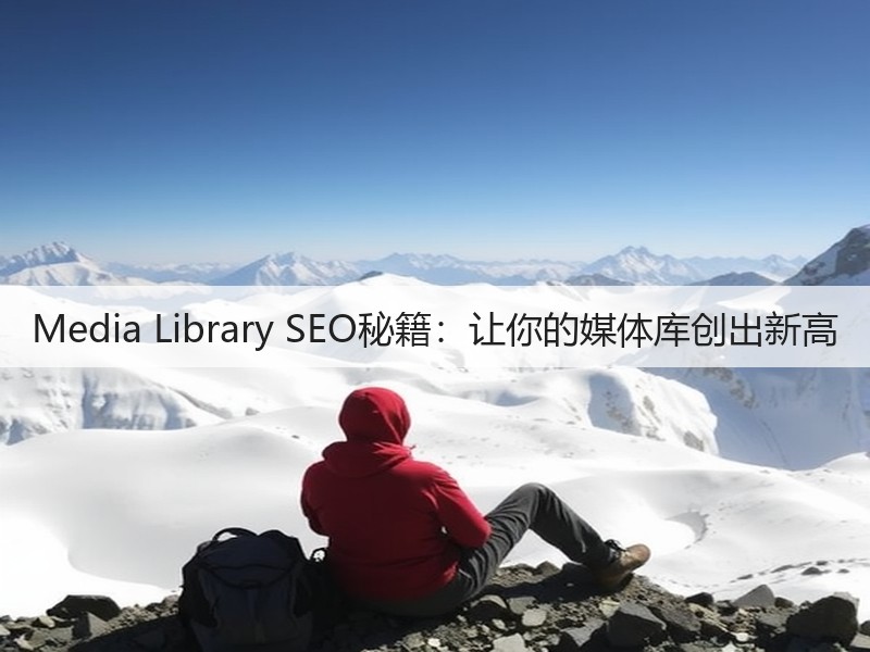 Media Library SEO秘籍:让你的媒体库创出新高(图2) Media Library SEO秘籍:让你的媒体库创出新高(图2)