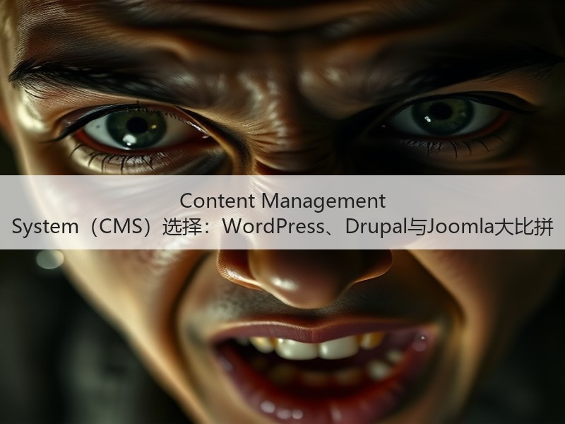 Content Management System（CMS）选择：WordPress、Drupal与Joomla大比拼(图1)