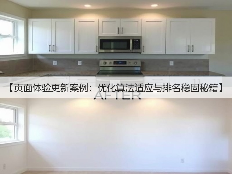【页面体验更新案例：优化算法适应与排名稳固秘籍】(图3)