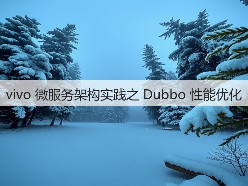 vivo 微服务架构实践之 Dubbo 性能优化(图2) vivo 微服务架构实践之 Dubbo 性能优化(图2)