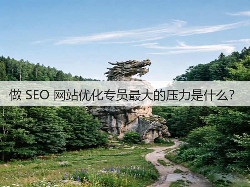 做 SEO 网站优化专员最大的压力是什么？(图2)